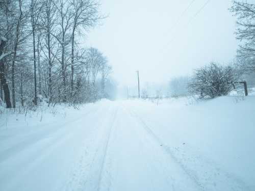 A snowy road surrounded by trees, with heavy snowfall creating a misty, white landscape.