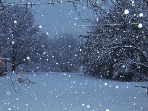 A snowy landscape with large snowflakes falling, trees in the background, and a playground swing set partially visible.