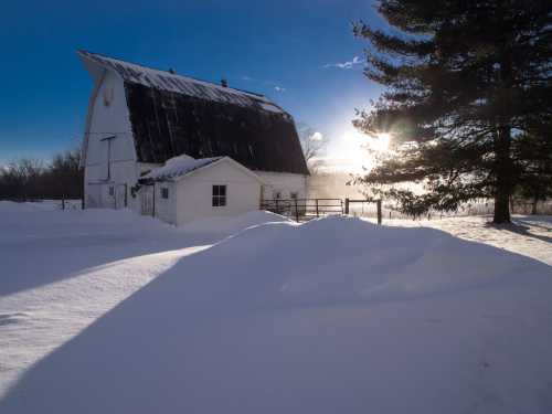 A snowy landscape featuring a white barn and a small building, with sunlight shining through trees in the background.