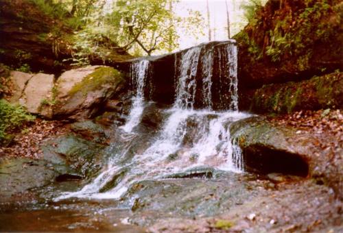 A serene waterfall cascading over rocks, surrounded by lush greenery and fallen leaves in a tranquil forest setting.