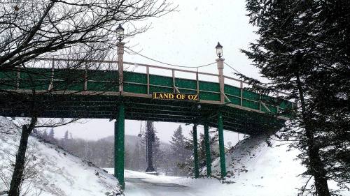 A snowy scene featuring a green bridge with the sign "LAND OF OZ" illuminated above it, surrounded by trees.