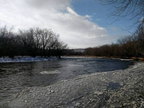 A serene river scene with icy edges, surrounded by bare trees and a cloudy sky.