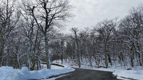A snowy road winding through a bare, leafless forest under a cloudy sky.