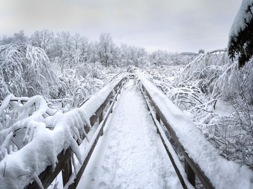 A snow-covered wooden bridge leads through a winter landscape of trees and branches blanketed in white snow.