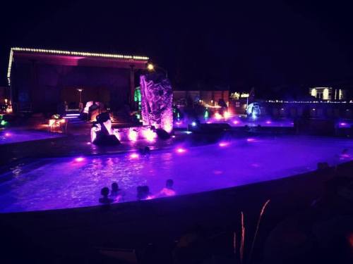 A vibrant pool area at night, illuminated with colorful lights, featuring a rock formation and people enjoying the water.