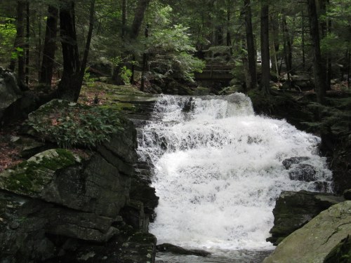 A cascading waterfall flows over rocky terrain, surrounded by lush green trees and foliage.