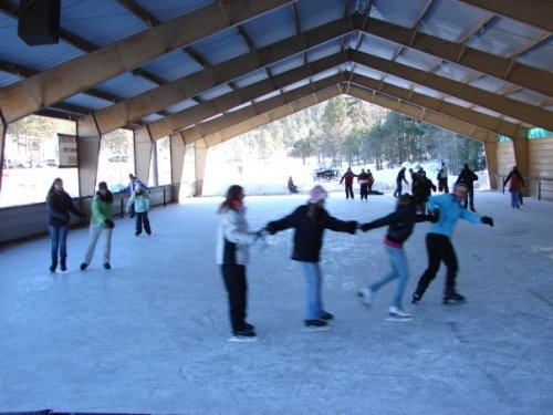 A group of people ice skating indoors under a large wooden structure, with trees visible outside.