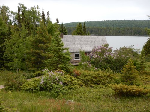 A cozy cottage surrounded by lush greenery and blooming flowers, near a calm lake and forested hills in the background.
