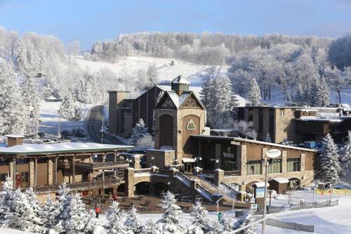 A snowy landscape featuring a ski resort with wooden buildings and trees covered in frost.