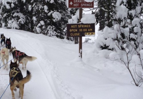 A dog sled team travels through a snowy landscape, passing a sign for Granite Hot Springs with operating hours.