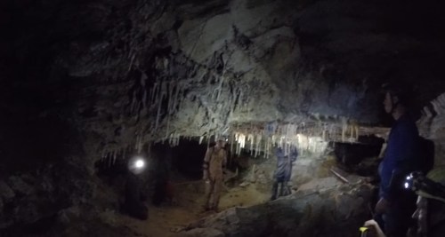 A group of people exploring a dark cave with stalactites hanging from the ceiling and beams of light from their headlamps.