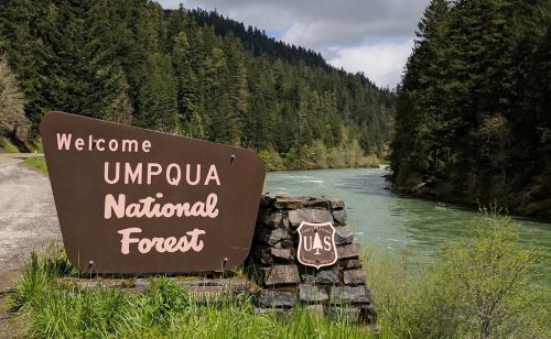 Welcome sign for Umpqua National Forest beside a river, surrounded by lush green trees and a cloudy sky.