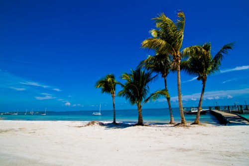 A sunny beach scene with palm trees, white sand, and a clear blue sky, overlooking calm waters and distant sailboats.