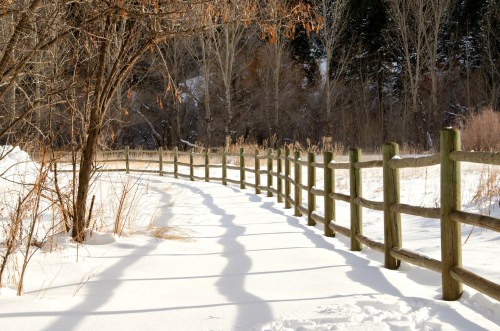 A snowy path curves alongside a wooden fence, surrounded by bare trees and winter scenery.
