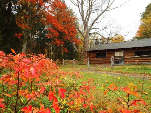 A rustic cabin surrounded by vibrant red foliage and autumn trees, set in a serene outdoor landscape.