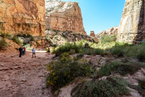 A group of hikers explores a rocky canyon surrounded by towering cliffs and sparse vegetation under a clear blue sky.