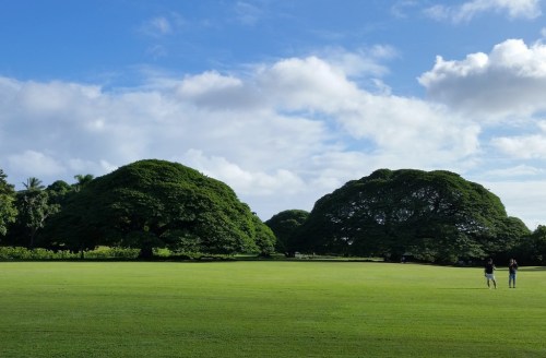 Two people walk on a lush green lawn, flanked by large, rounded trees under a blue sky with scattered clouds.