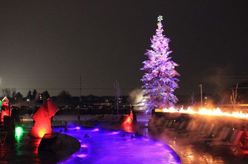 A brightly lit Christmas tree stands beside a pool with colorful lights and a fire feature, set against a night sky.