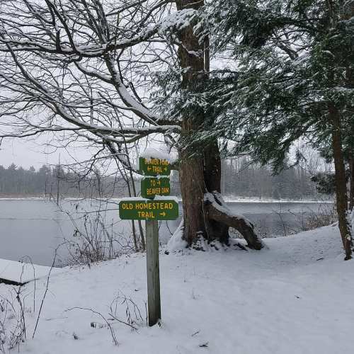 A snowy landscape featuring a trail sign pointing to "Old Homestead Trail" and "Beaver Dam" near a frozen lake.