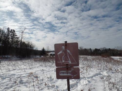 A brown sign with a white figure skiing, set against a snowy landscape and cloudy sky.