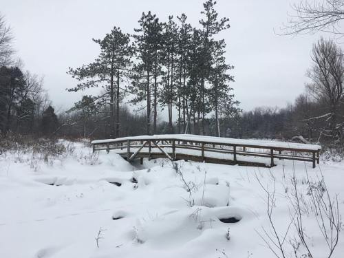 A wooden bridge covered in snow, surrounded by trees and a winter landscape under a cloudy sky.
