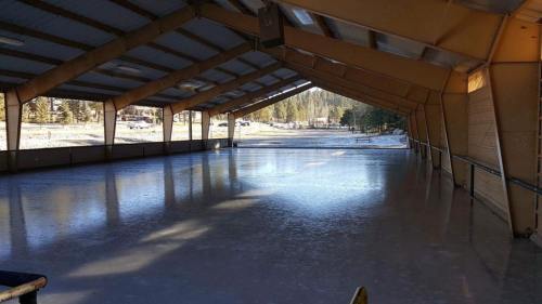 Indoor ice skating rink with a smooth, reflective surface and wooden beams overhead, surrounded by trees outside.
