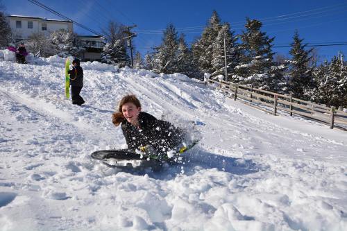 A girl sleds down a snowy hill, surrounded by trees and other children playing in the snow on a sunny day.