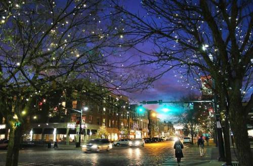 A street scene at dusk, adorned with twinkling lights on trees, with cars and pedestrians under a green traffic light.