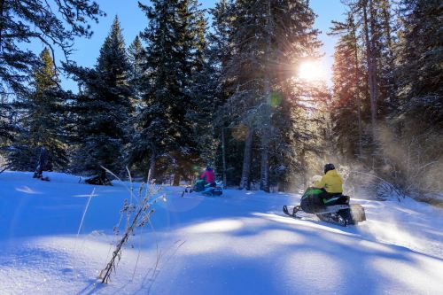 Two snowmobiles ride through a snowy forest, with sunlight filtering through the trees.