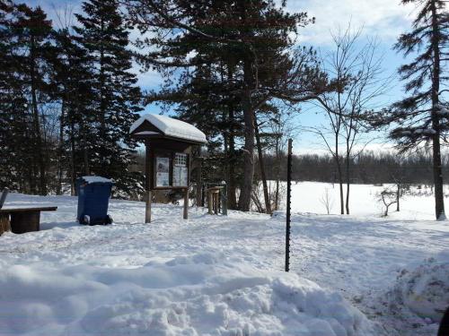 A snowy landscape with a bulletin board, a blue trash bin, and trees under a clear sky.