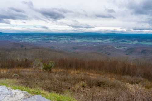 A panoramic view of a valley surrounded by mountains under a cloudy sky, with sparse trees in the foreground.