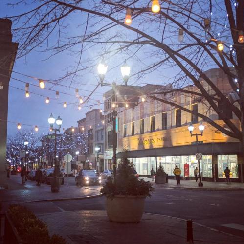 A charming street scene at dusk, adorned with string lights and festive decorations, showcasing shops and trees.