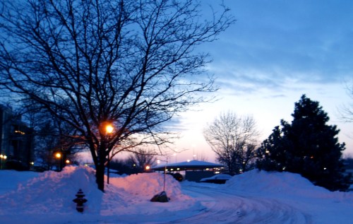A winter scene with a bare tree, snow-covered ground, and a soft blue sky at dusk, illuminated by streetlights.