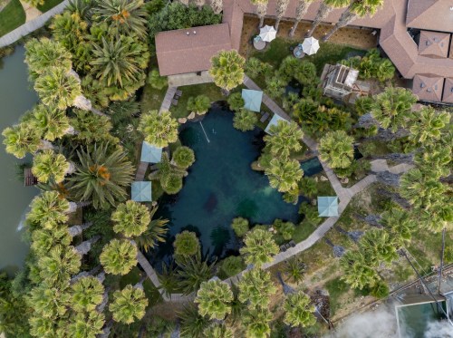 Aerial view of a lush garden with palm trees surrounding a tranquil pond and several shaded seating areas.