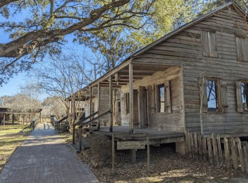 A weathered wooden house with a porch, surrounded by trees and a pathway, in a rural setting.