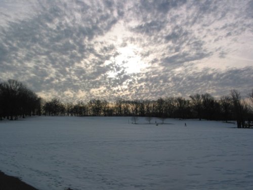 A snowy landscape under a cloudy sky, with trees silhouetted against the horizon.