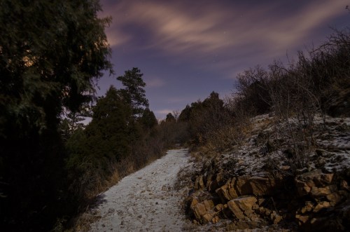 A snowy path winds through a dark forest under a cloudy night sky, with trees lining the sides.