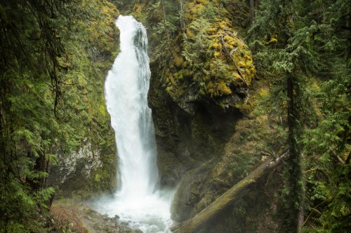 A cascading waterfall surrounded by lush green trees and moss-covered rocks in a serene forest setting.