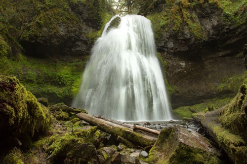 A serene waterfall cascades over moss-covered rocks, surrounded by lush greenery and fallen logs.