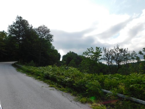 A winding road surrounded by lush greenery and trees under a cloudy sky.