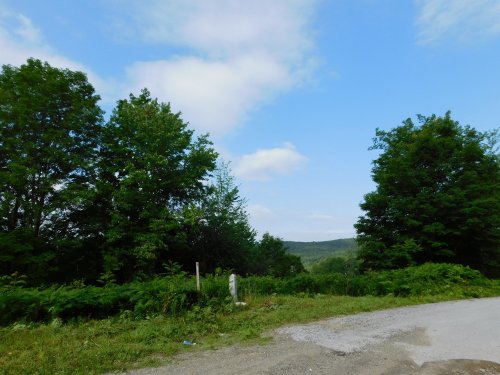 A scenic view of green trees and a blue sky, with a gravel path leading into the landscape.
