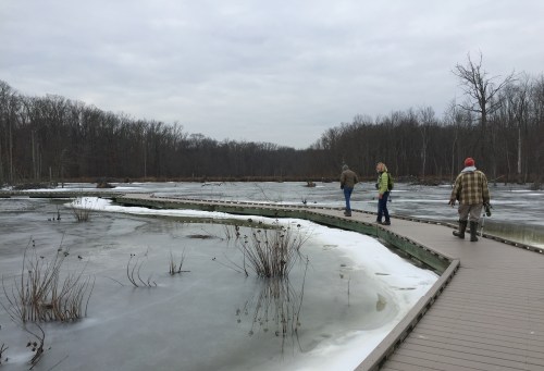 Three people walk along a wooden path over a frozen wetland, surrounded by bare trees and a cloudy sky.