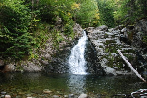 A serene waterfall cascades over rocky cliffs into a clear pool, surrounded by lush green trees and foliage.