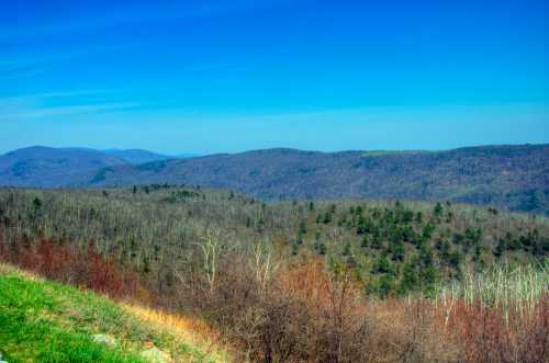 A panoramic view of rolling hills and valleys under a clear blue sky, with sparse trees and greenery in the foreground.