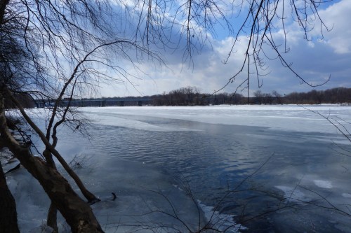 A serene winter scene of a partially frozen river, with bare trees and cloudy skies in the background.