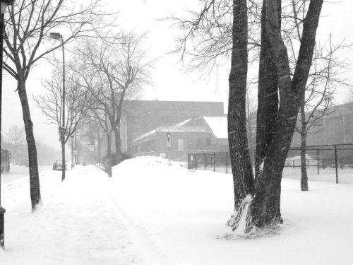 A snowy street scene with trees, a building in the background, and heavy snowfall creating a winter atmosphere.