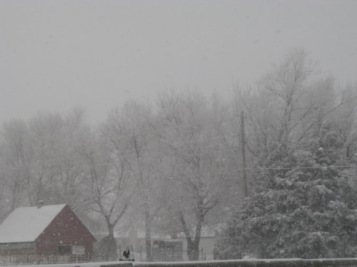 A snowy landscape featuring a red barn, bare trees, and heavy snowfall, creating a serene winter scene.