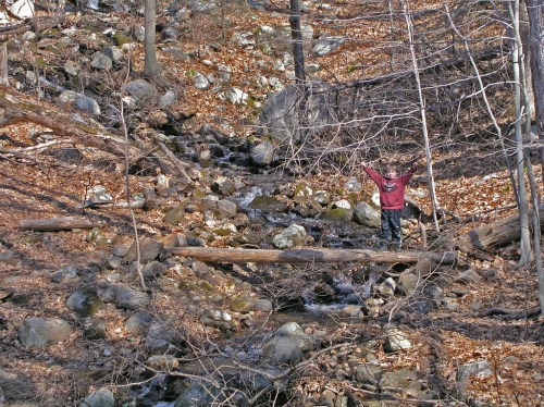 A person stands with arms raised in a rocky, wooded area with a small stream and fallen leaves.