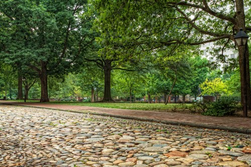 A serene park scene featuring a cobblestone path surrounded by lush green trees and grass.