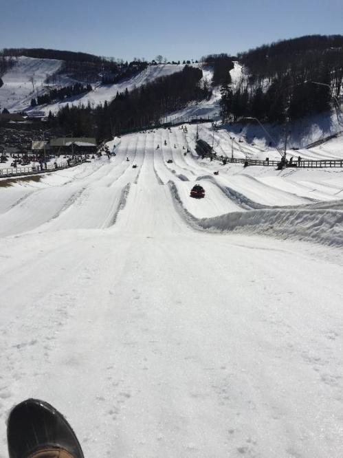 A snowy hill with multiple tubing lanes, surrounded by trees and a clear blue sky, bustling with winter activity.